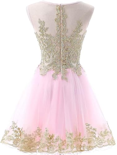 Lace Applique Homecoming Dresses for Teens 2025 Short Prom Dress A Line Tulle Cocktail Party Dresses2
