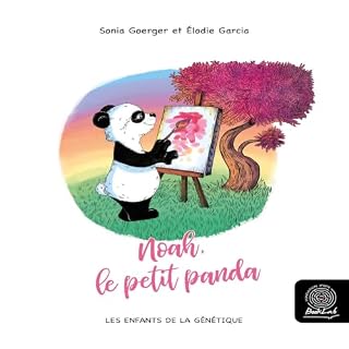 Couverture de Noah, le petit panda
