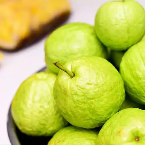 See full amazon price history chart for Mphmi Seedless Plant Fruit Plants Taiwan Pink Guava Plant Mphmi Seedless Plant Fruit Plants Taiwan Pink Guava Plant (B0CVVQ7216) Amazon Price History, Amazon Price Tracker