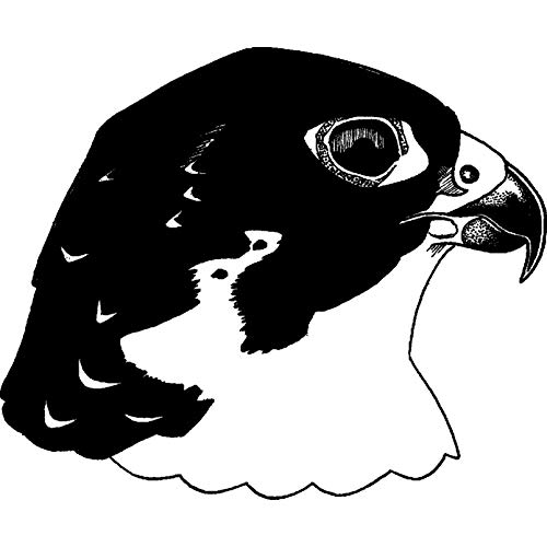 'Peregrine Falcon' Rubber Stamp - Unmounted Design for Crafting & Scrapbooking, A8 (RS00021607)