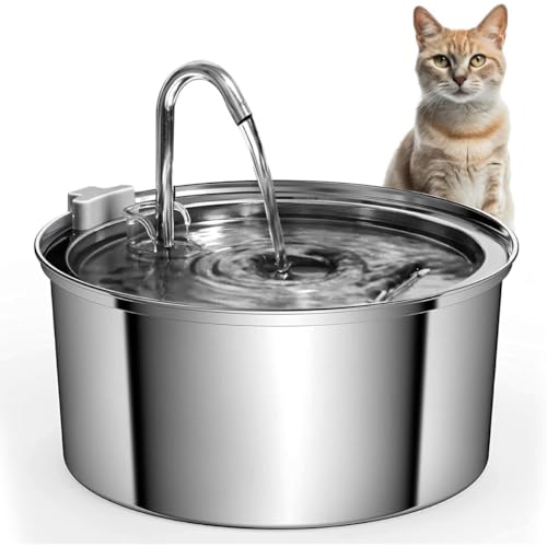 DlwkL ݊XeX 3.2Le  ֌݌v É z  ybgp