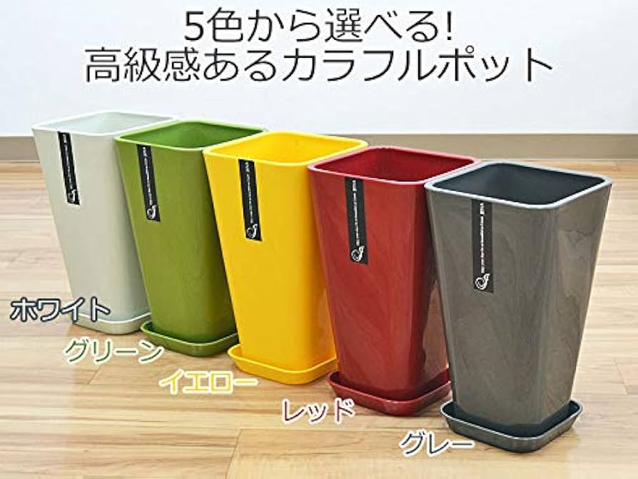 Amazon｜フラワーコーポレーション ミリオンバンブー 万年竹