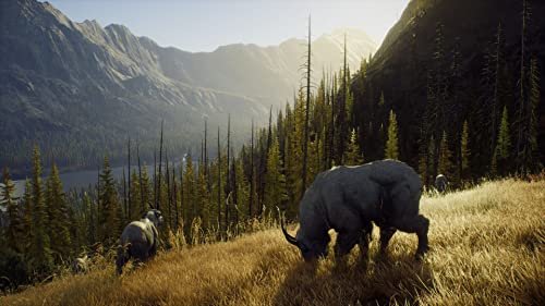 ウェイオブザハンター - PS5