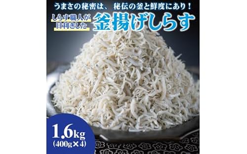 しらす職人が目利きした「釜揚げしらす」1.6kg(A535-1)