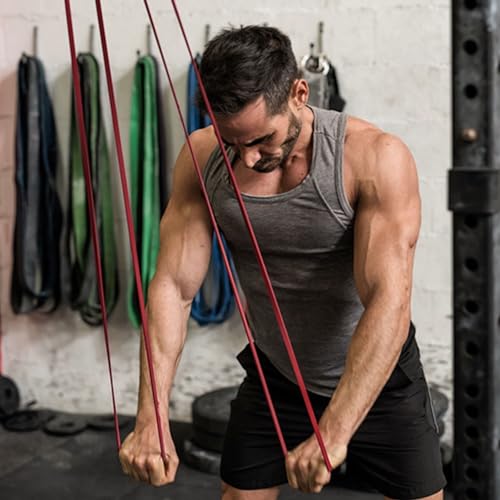 Image of WODFitters Pro Series Pull-Up Assistance Bands - Premium Resistance Loop Bands for Assisted Pull Ups, Muscle Ups, Strength Training & Mobility - Durable Bands for Functional Fitness