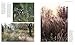 New Nordic Gardens: Scandinavian Landscape Design