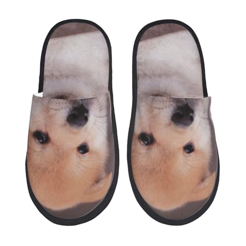 [JECASS]  13 lC v[g Aj Xbp  Y 􂦂 gC qp p E Xbpjp LN^[ ObY  fB[X ~ 킢 qpl