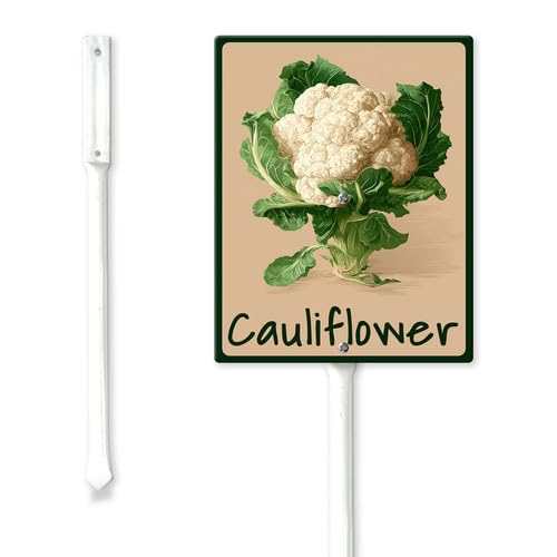 Geroclonup Vegetable Labels Sign Vintage Vegetable Signs for Garden with Stake Cauliflower Sign 20x30cm Sturdy Rust Free Fade Resistant Aluminum Yard Standing Signs for Outdoor Use Easy to Install