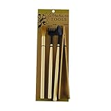 Syndicate Sales Terrarium Tool Kit 4 Piece