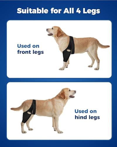 Image of Dog Hip Knee Leg Brace -Dog ACL Brace for Front Torn and Back Hind Rear Legs ACL Tear, Dog Leg Brace for Hip Dysplasia, Dog Arthritis, Luxating Patella, Comfortable and Adjustable (L)