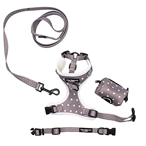 Paw Highness Dog Walking Harness, Collar, Leash & Poo Bag Holder Set in Grey Polka Dot Extra Small