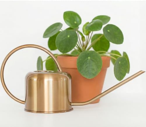 Stainless Steel Watering Can for Houseplants by Houseplant Resour...