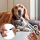 Tablettengeber Für Katzen, 2 Stücke Tabletteneingeber Katze Schont Zähne Und Zahnfleisch, Weiche Spitze, Geeignet Für Katzen, Hunde Und Kleintiere, Für Fresszubehör (Rot, Grün)
