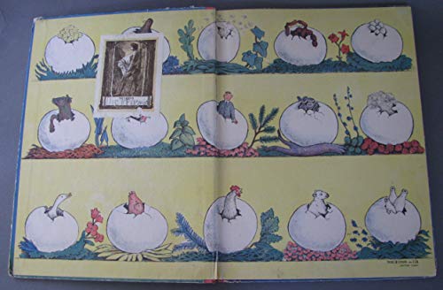 Don't Count Your Chicks B0006AQ7CY Book Cover