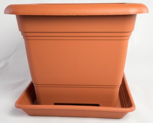 Pflanzkübel NORA 33 cm mit passendem Untersetzer NORA Terracotta