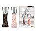 SidiOutil Set di 2 macinasale e macinapepe in acciaio inox, 200 ml, con nucleo in ceramica regolabile, per macinare pepe nero, sale marino, peperoncino, macinapepe e macinasale