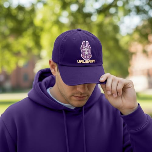 Gorra baseball ajustable bordada púrpura estilo A miniatura 5