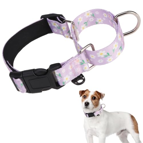 Image of Martingale Collar for Dogs for Small Medium Large Dogs, Soft Padded Nylon No Pull Dog Collar with Buckle, Adjustable No Slip Heavy Duty Durable Puppy Training Collar for Boys Girls, Purple M