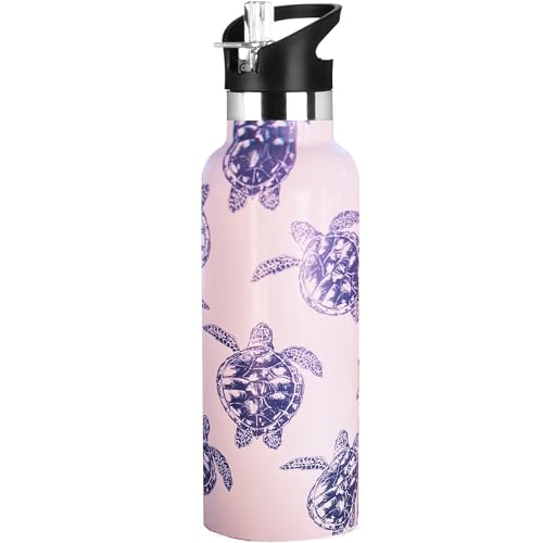 Hazlget Sea Turtle Water Bottle with Straw Lid Insulated Stainless Steel Travel Mugs for Sport Gym Outdoor 20oz