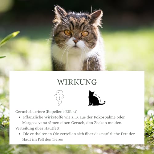 Tiertreu® Zeckenhalsband für Katzen - 2er Pack - Länge 38cm - wirksamer Schutz gegen Zecken und Flöhe - wasserfest und mit natürlichen Inhaltsstoffen – natürlichen Ölen