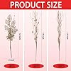 Amazon.com: 36 Pcs Christmas Tree Picks 17'' Sprays Artificial Flower ...