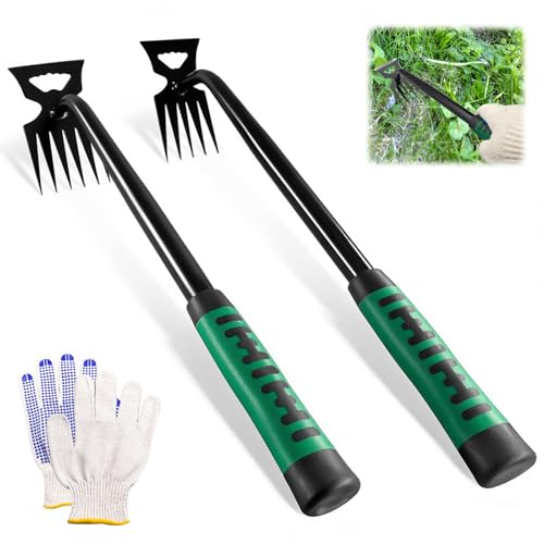 Klerbesh Set 2 Piezas Extractor 5 y 6 Dientes, Herramienta de Jardín de Acero Inoxidable, Desyerbador Manual con Guantes de Protección, Saca Raíces para Cuidado del Césped (2 PCS)