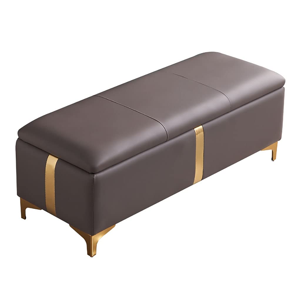Banc de rangement bout de lit rembourré moderne pour coffre à chaussures salon