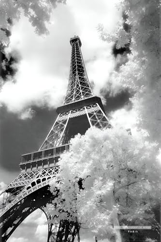 BUY ART FOR LESS Officially Licensed Eiffel Tower (Parc du Champ de Mars) Art Poster - 24 x 36 Inch - Decorative Print - Poster Paper - Ready to Frame