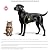 Ideal Pet Products Aluminum Pet Patio Door, Adjustable Height 77-5/8" to 80-3/8", 5" x 7" Flap Size, White