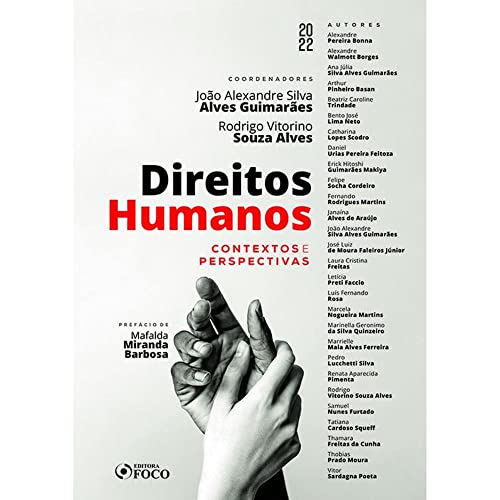DIREITOS HUMANOS - CONTEXTOS E PERSPECTIVAS - 1ª ED - 2022