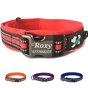 Dog Collar Personalised Dog Collars Custom Nylon Reflective Collars Adjustable Pet Collars with Name & Phone Number for Pets Cat Puppy Dogs(Red,S)