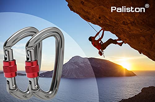 Locking Carabiner - 25Kn 5600Lb Climbing Carabiner Screw Gate D Shape Carabiner Silver (Pack Of 5) #TOP4