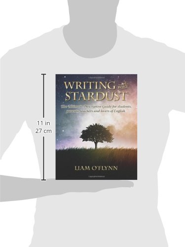 Writing with Stardust: The Ultimate Descriptive Guide for students, parents,teachers and lovers of English. - Image 3