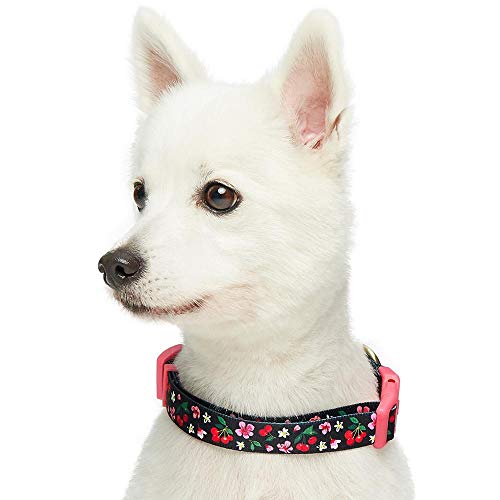 Blueberry Pet 7 Patterns Cherry Garden Black Adjustable Dog Collar with Dainty Flowers, X-Small, Neck 8"-11" - Image 4