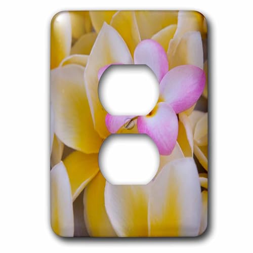 3dRose LSP_230735_6 USA, Hawaii, Oahu, Plumeria Flores Blooming Plug Outlet Cubierta, Multicolor
