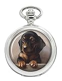 reichertshofen arzt Sekundenzeiger Taschenuhr mit Dackel-Welpe von Carl Reichert