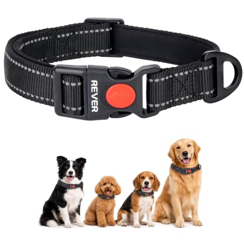 REVER Collar Perro Nylon Reflectante Ajustable, Neopreno, Cierre Anilla D