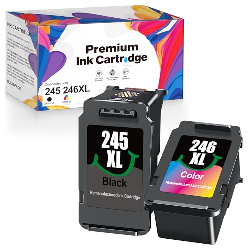 E-Z Ink Replacement Ink Cartridge for Canon 245XL 246XL Ink Cartridge Combo Pack (1 Color, 1 Black)