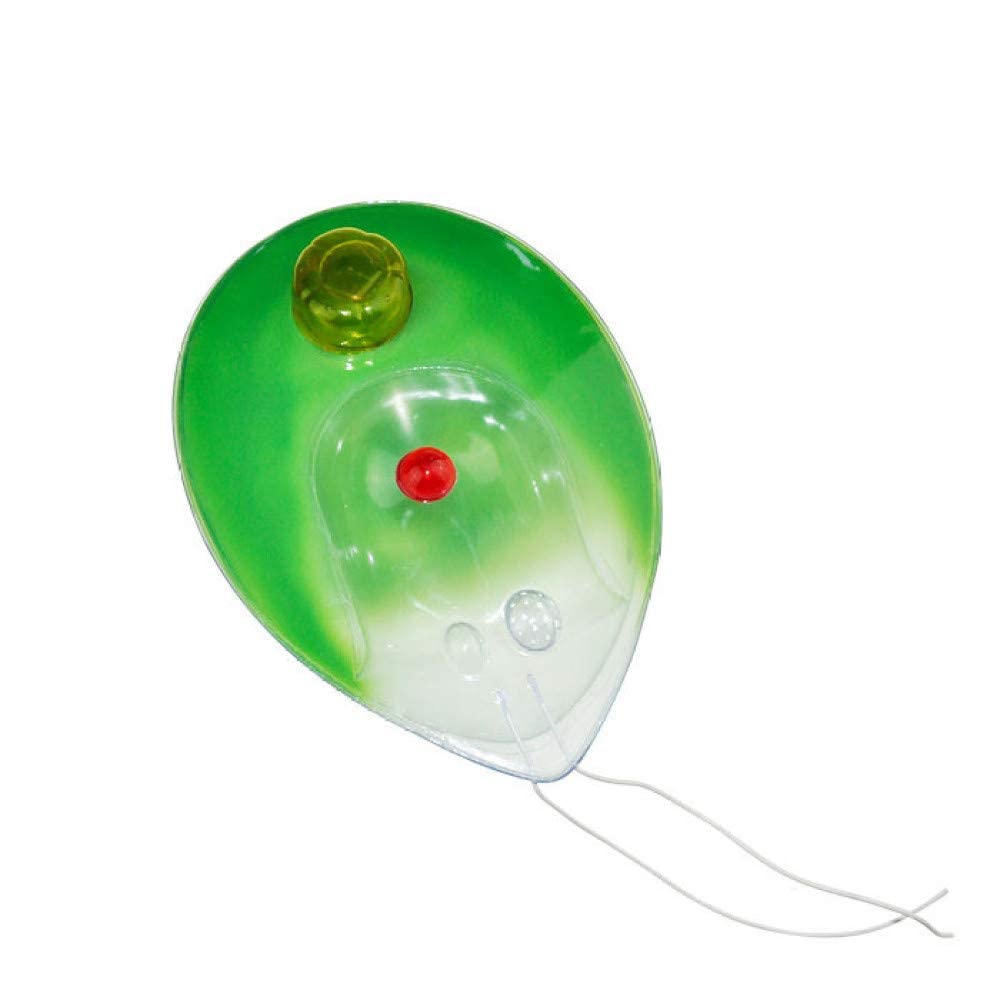 Chlamydomonas Model high School Biology Experiment Science Teaching Instrument Teaching Medical Research Science, One Size