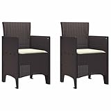 vidaXL Silla de Jardín 2 pcs Marrón 53 x 49 x 85 cm Polipropileno, Duradera Relajarse