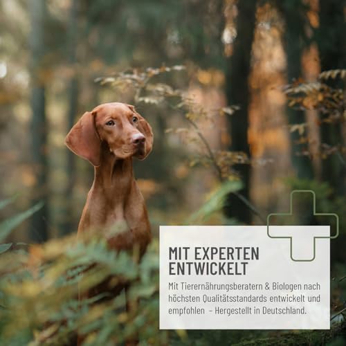 ReaVET Karottenflocken für Hunde 1kg – Getreidefreie Gemüseflocken als Barf Zusatz, natürliche Fütterung