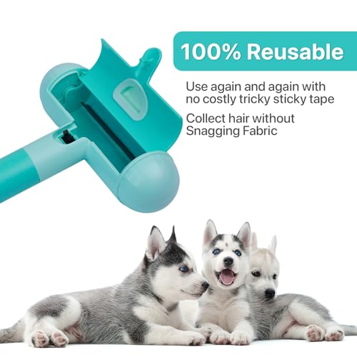 Image of Pet Hair Remover Roller | Remover and Reusable lint Roller | Portable Dog and Cat Hair Remover | Multi Surface - Couch, Furniture, Carpet, Clothing | Easy to Use Fur Removal Tool (Turq)