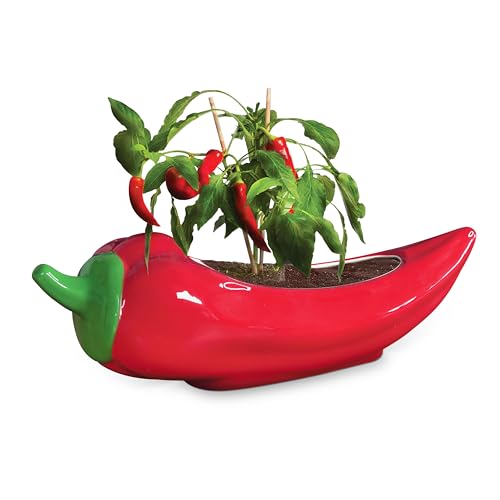 Red Hot Chili Planter – Pot de fleurs en céramique émaillée pour le jardinage d'intérieur – Cadeau amusant et épicé pour les parents de plantes et...