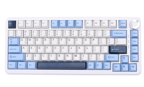 Image of URX x AJAZZ AK820 MAX Plus Wireless RGB Mechanical Keyboard | 75% Hot Swappable Pre-Lubed Switches, Bluetooth 5.0 USB-C | Gaming Keyboard for Windows Mac | 8000mAh Battery | Glacier Blue