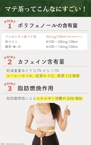 ビオフーズ マテ茶 ティーバッグ 3g×50包