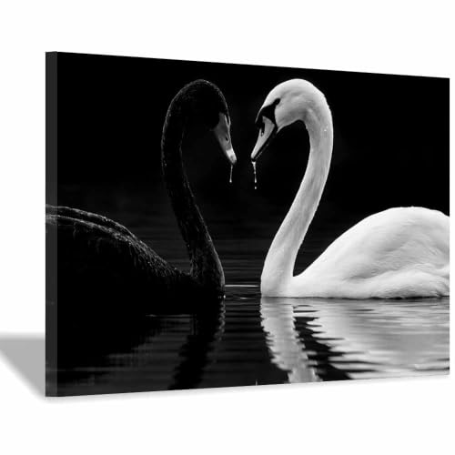Poster noir et blanc toile murale décoration salon chambre 20x30cm