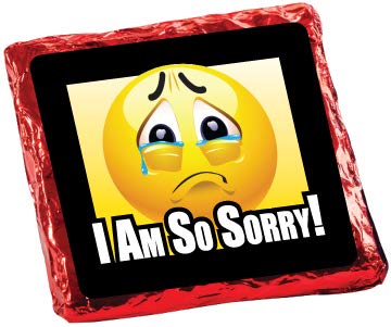 Miniatura 2 de I'M SORRY - GRAHAMS CUBIERTOS DE CHOCOLATE "COOKIE TALK" - 6PC