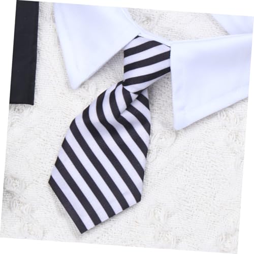 Set de gorro y corbata para graduación de perro talla L miniatura 2