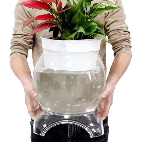Kcgani 3�K���� PET Aquaponic Betta �t�B�b�V���^���N �A�N�A�|�j�b�N �x�[�X�ƃg�b�v�t�� �傫�ȃ{�E�� ��U�h�~ ���� �N���A�N�����e�B �e�����E���p �ԕr �Z���^�[�s�[�X ���D���ւ̃v���[���g