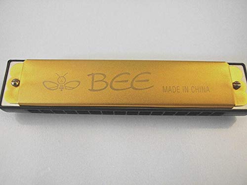 BEE Harmonica 12 holes Key of C Gold Color